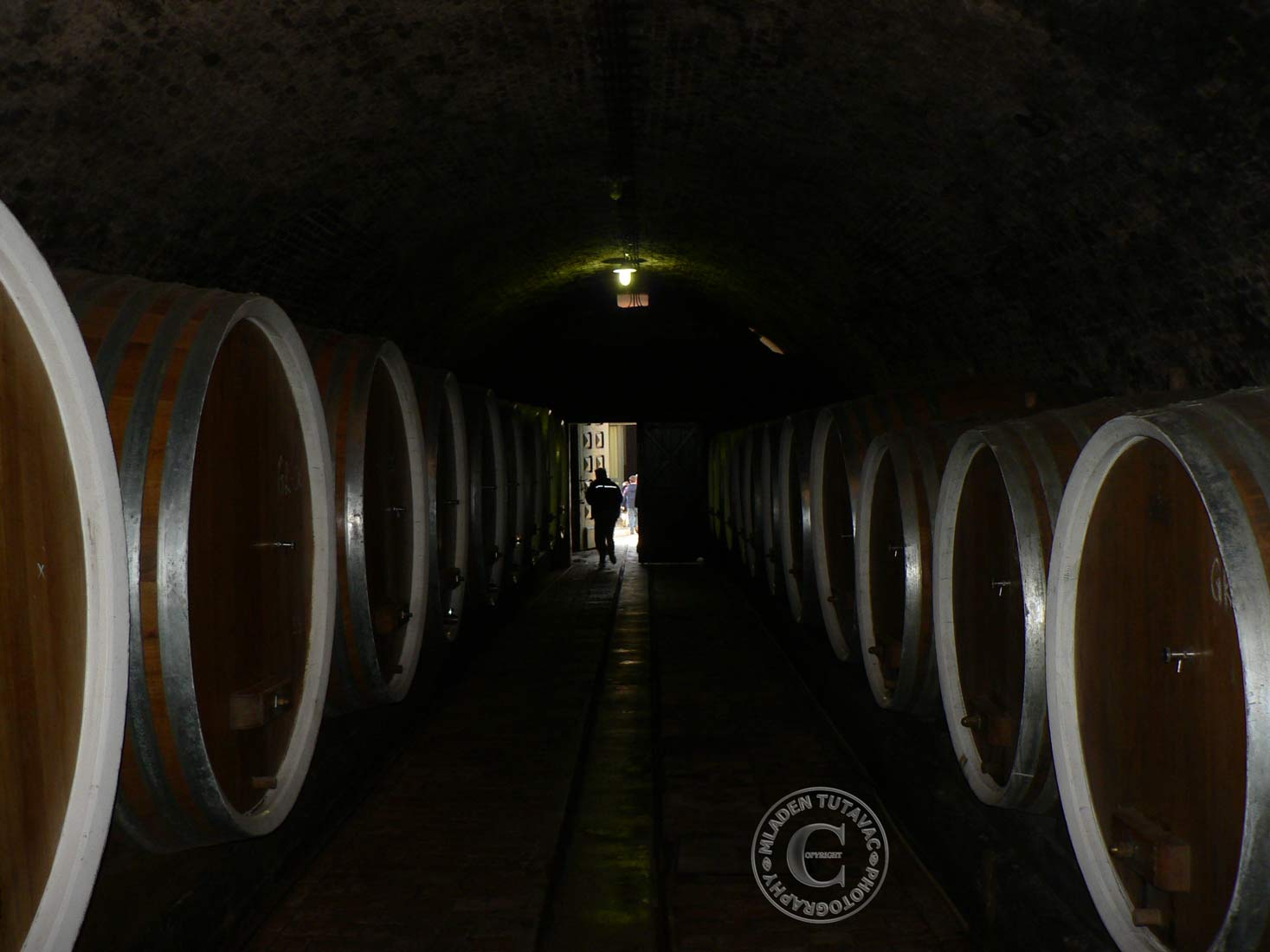 tour guide:Ilok,famous cellar of Ilok