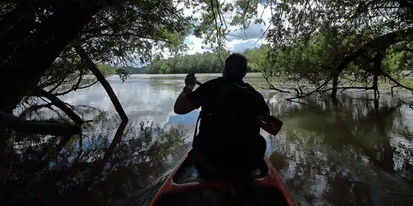 Tour guide - In canoe on the river Drava