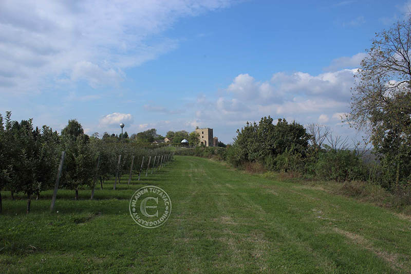 tour guide:Vineyards of Erdut