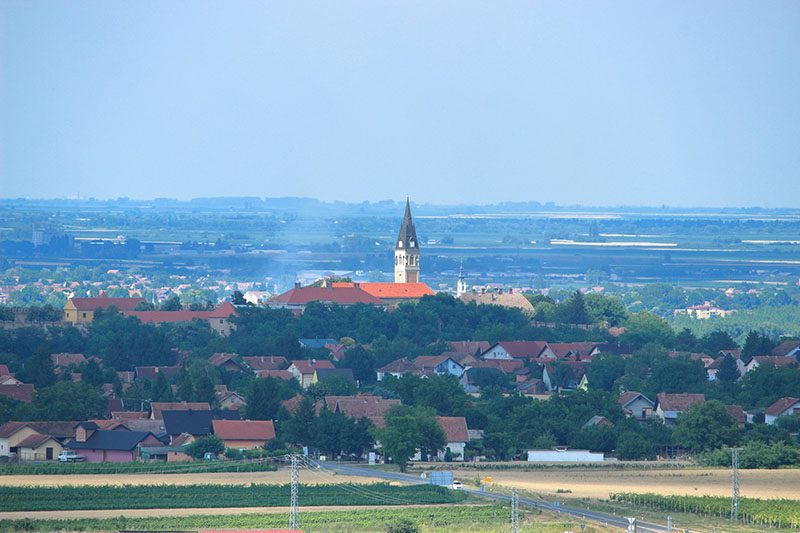 Turistički vodič: Pogled na Ilok s Principovca