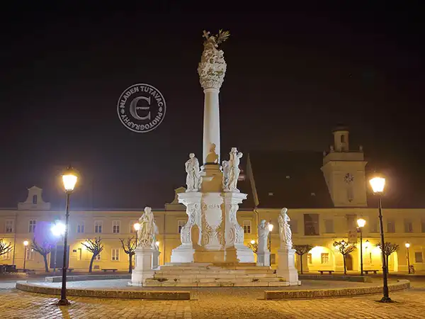 Tour guide:The Citadel, plague pillar, city of Osijek