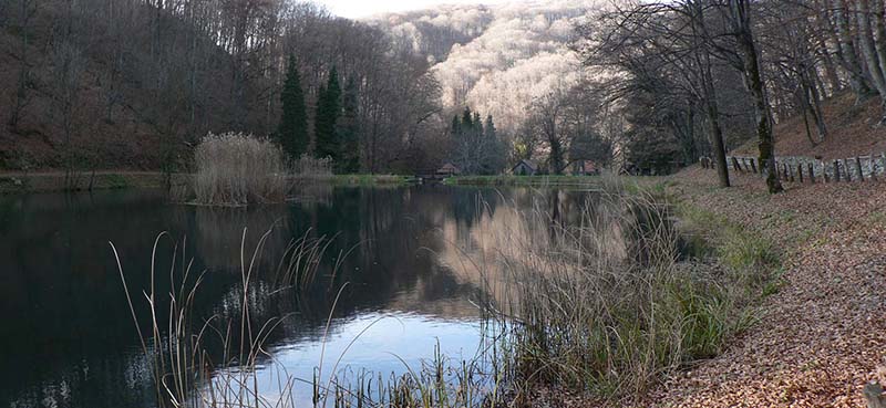 tour guide:Jankovac, Papuk mountain